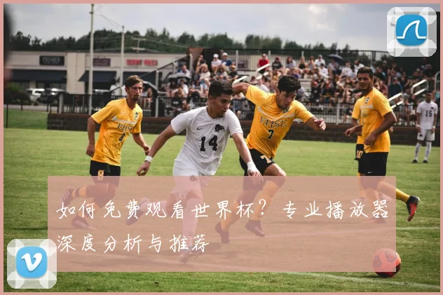 如何免费观看世界杯?专业播放器深度分析与推荐