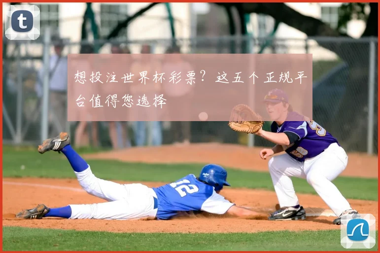 想投注世界杯彩票？这五个正规平台值得您选择
