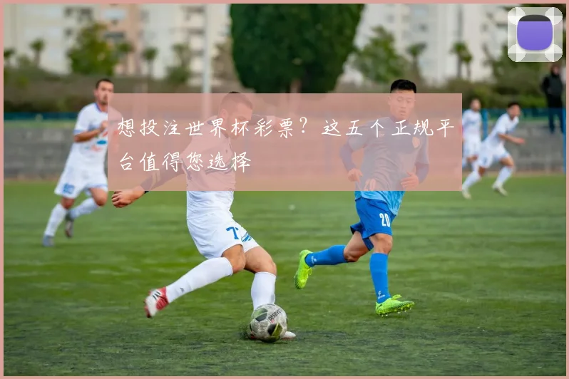 想投注世界杯彩票？这五个正规平台值得您选择