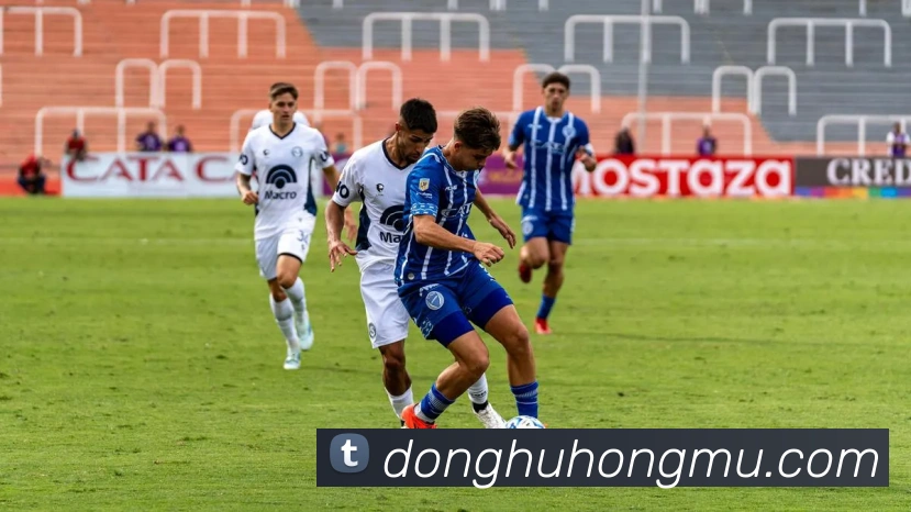 App Interface Preview