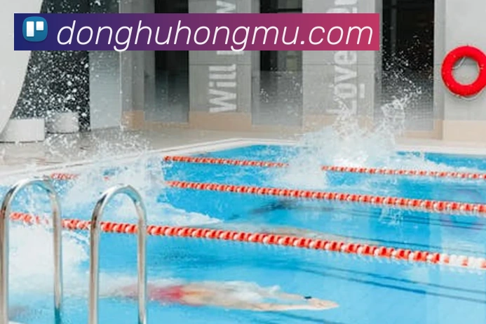 leyu乐涛官网地址APP 封面图